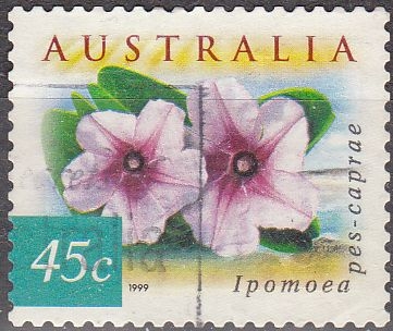 AUSTRALIA 1999 Scott 1736 Sello Flores Flowers Ipomoea pes-caprae usado Michel 1807 